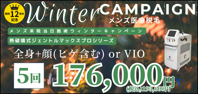 美容皮膚科アイエスクリニック メンズ医療脱毛 熱破壊式が全身+顔 or VIOで5回176,000円(税込193,600円)